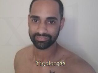 Yigolo0388