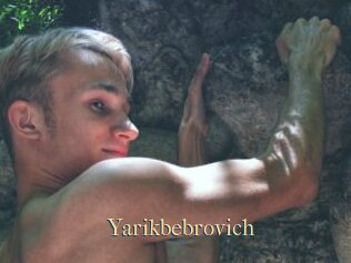 Yarikbebrovich