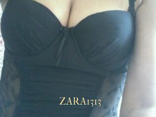 ZARA1313