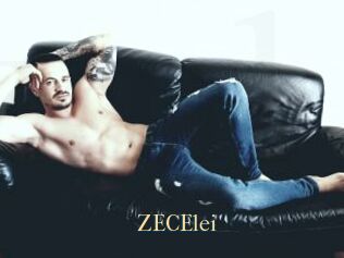 ZECElei