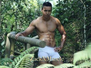 ZackXMuscle