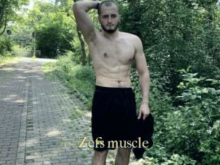 Zefs_muscle