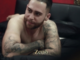 Zeusb